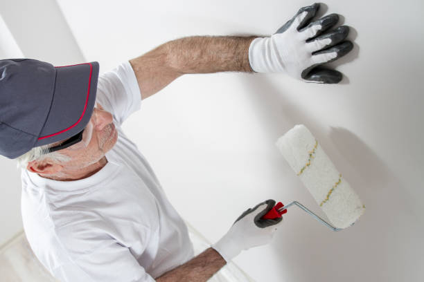 Trusted Cheney, KS Mold Removal Experts