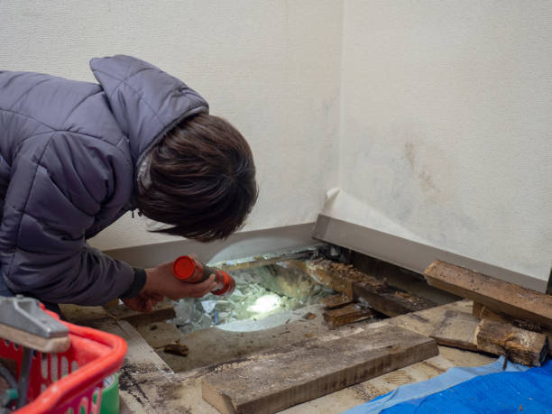 Forensic Mold Investigation in Cheney, KS