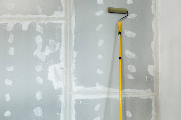 Best Asbestos and Lead Testing During Mold Inspection  in Cheney, KS