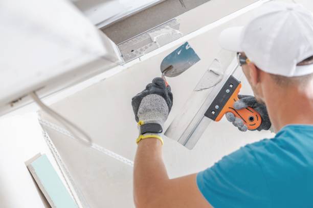  Cheney, KS Mold Removal Pros